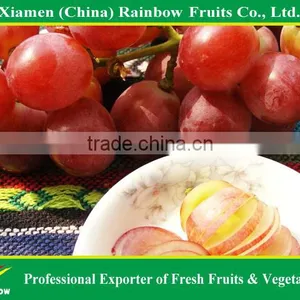 Fresh Red Globe Grape From Yunnan Xinjiang China thumbnail-1