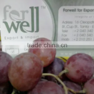 Grapes With Different Sizes and Packing thumbnail-1