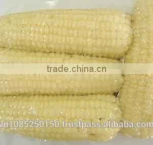 Frozen Steamed Corn thumbnail-2