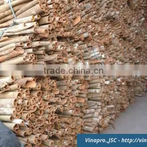 VIETNAM SQUARE CUT CASSIA ( YB1, YB2, YB3, YB4 ) (+841657106604 - WhatsApp) thumbnail-6
