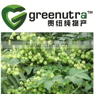 Hops Extract thumbnail-1