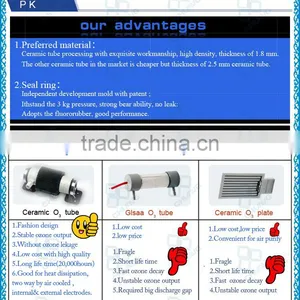 China Factory Price 1g 3g 5g 6g 7g Ozone Tube / Ozone Generator Cell thumbnail-2