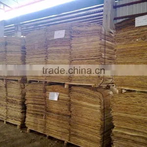 EUCALYPTUS/ACACIA CORE VENEER TYPE OF SHORT CORE VENEER thumbnail-2