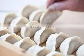 Samosa/spring Roll/wonton/Ravioli Making Machine thumbnail-5