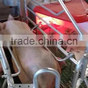 High Quality Led Infrared Heater in Farrowing Crate thumbnail-1