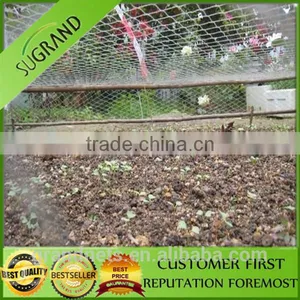 Nylon Bird Nets for Catch Birds Anti Bird Netting for Australia Market thumbnail-3