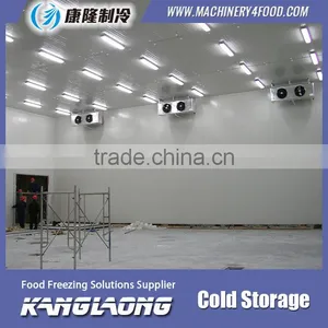 China Factory New Technology Refrigerator Freeze Temp thumbnail-2