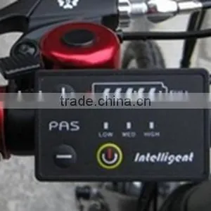 20" Tire Lithium Battery Electric Bike/250W Cheap Electric Bike for Sale (TK-EB202) thumbnail-3