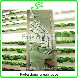 High Qulity New Style Hydroponic System thumbnail-5