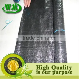 Agricultural Black Plastic Ground Cover thumbnail-2