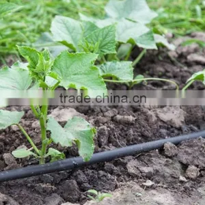 16mm/20mm Drip Irrigation Pipe Drip Pipe Drip Inline Pipe thumbnail-1