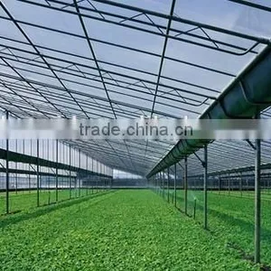 Greenhouse Sheet thumbnail-5