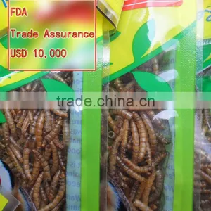 Pet Food Manufacturer High Quality Chicken Feed Mealworms, Mealworms High Protein Bird Food thumbnail-1