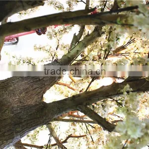 Fire Proof Artificial Blossom Tree Fake Flower Tree for Festival Decoration Factory Direct LGH15-04 thumbnail-6
