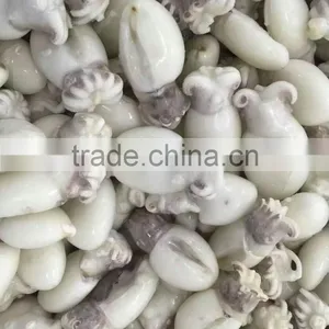 Frozen Cuttlefish thumbnail-1