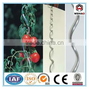 Free Samples Hot Selling High Qualiy Zinc Phosphide Drywall Screw thumbnail-2