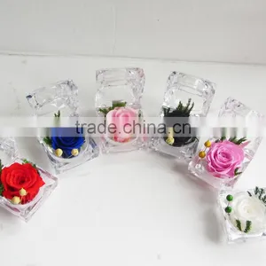 Fashionable And Natural Real Rose Preserved Flowers Wholesale With Acrylic Ring Box Decoration thumbnail-1