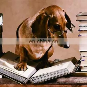 Fashion Promotion PET/PP Advertising Poster With 3d Effect thumbnail-2