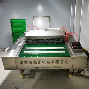 Dz 400 Vacuum Machine Food Packaging Sealer/Pillow Vacuum Packing Machine Price thumbnail-1