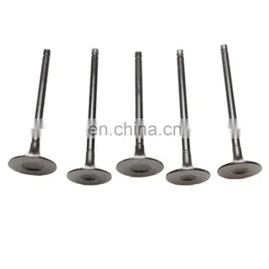 Intake Valve Inlet Valve OEM 55195947 7085036 55195947A 55195948 thumbnail-1