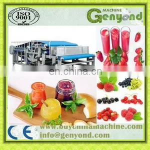Industrial Cold Press Juicer/apple Juice Belt Press thumbnail-2