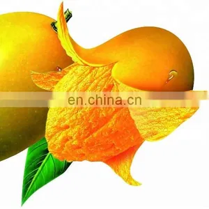 Small Mango Jam Processing Line Mango Jam Production Line thumbnail-1
