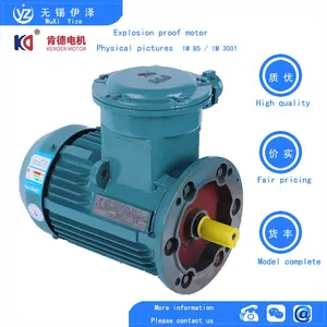 YFBX3 Dust Explosion-proof Motor thumbnail-2