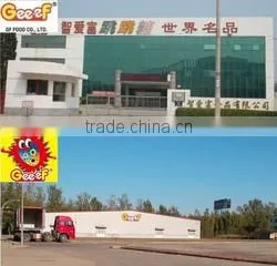 Langfang GF Food Co., Ltd. company overview - view 3 thumbnail