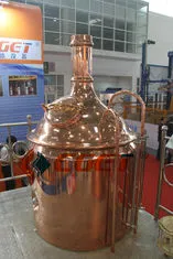 500L Automatic Craft Beer Brewing System With CIP Cleaning thumbnail-2