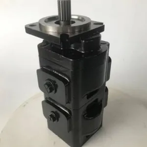 Replace Original Gear Pump JCB206 20 925340 7029120005 Hydraulic Gear Pump High Quality Replacement Pump thumbnail-4