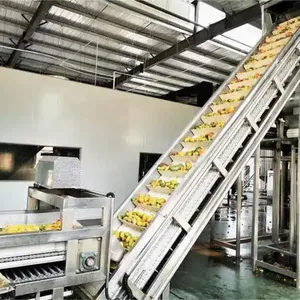 Mango Sweetsop Cherry Seed Remove Spinal Figs Juice Pulping Fruit Pulp Machine Fruit Coconut Pulp Process Line Orange Juicer thumbnail-6
