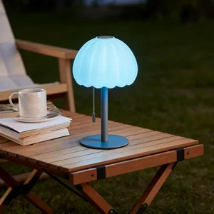 Remote & Touch Control 16 RGB Color Changeable Rechargeable Plastic Modern LED Desk Lamp for Bedroom Home Restaurant Use thumbnail-4
