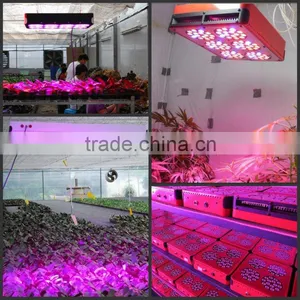 Cheap New Arrival 1w 3w 5w Led Grow Light thumbnail-6
