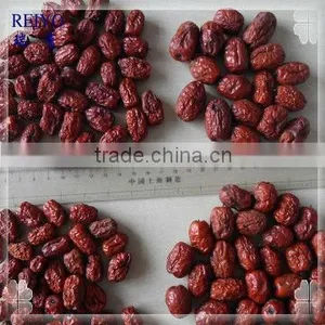 Chinese Dried Red Dates for Sale thumbnail-2