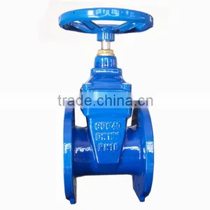 Ductile Iron Rising Non-Rising Stem Resilient Seated Cast Iron Gate Valve thumbnail-5