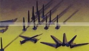 Common Nail thumbnail-1