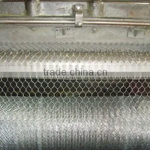 1/4 Inch Galvanized Chicken Wire Mesh thumbnail-6