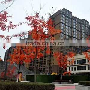 Window Hollow Glass , SGP Laminated Glass, Tempered Glass, Silkscreen Glass, Anti-Fire Glass,Hot Bending Glas thumbnail-2