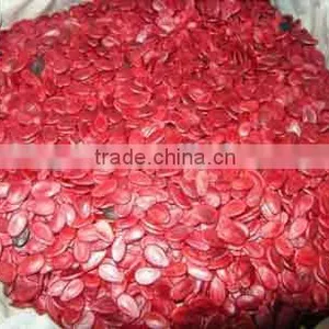 Supply Melon Seeds , Good Quality Red Watermelon Seeds Kernels for Sale thumbnail-6
