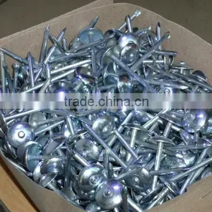 Galvanized Umbrella Head Roofing Nails (Direct From Factory) thumbnail-1