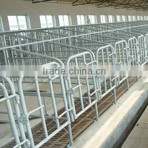 Poultry Automatic Pig Farming Equipment thumbnail-1