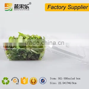 Rectangle Transparent Take Away Plastic Salad Box With Lid thumbnail-1