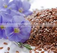 Flax Seed Extract 10:1 thumbnail-1