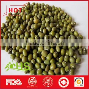High Quality Green Mung Bean for Sale thumbnail-2