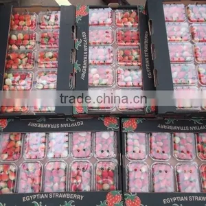 Egyptian Frozen Strawberry thumbnail-2