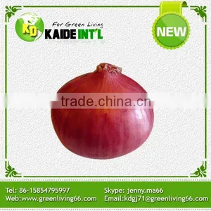 Popular Equipment Fresh Small Onion thumbnail-3