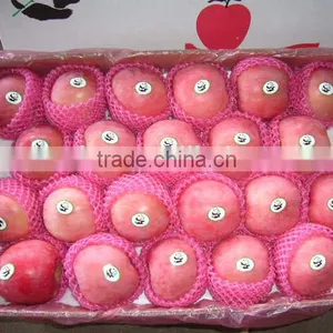 2016 New Season Fuji Apple Fruit thumbnail-3