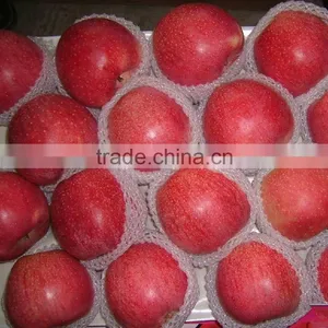 Hot Sale Chinese Apple Fruit Fresh Qinguan Apple thumbnail-1