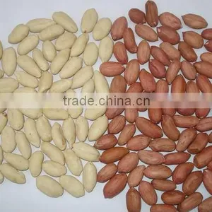Chinese Peanuts thumbnail-1
