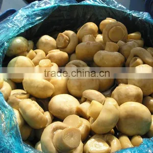 Champignon in Brine thumbnail-1